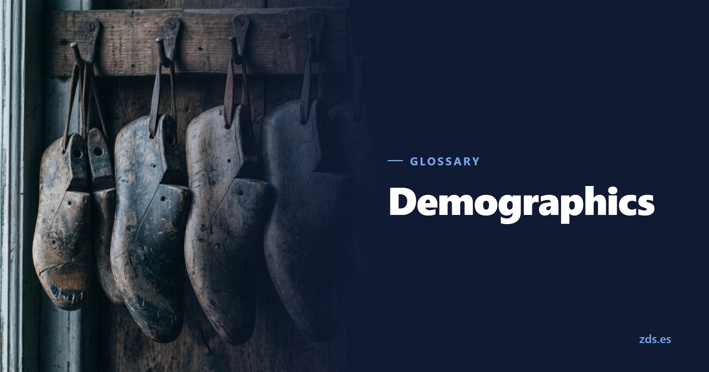 Several cobbler's shoe lasts in different sizes hanging from hooks — beside the title Demographics