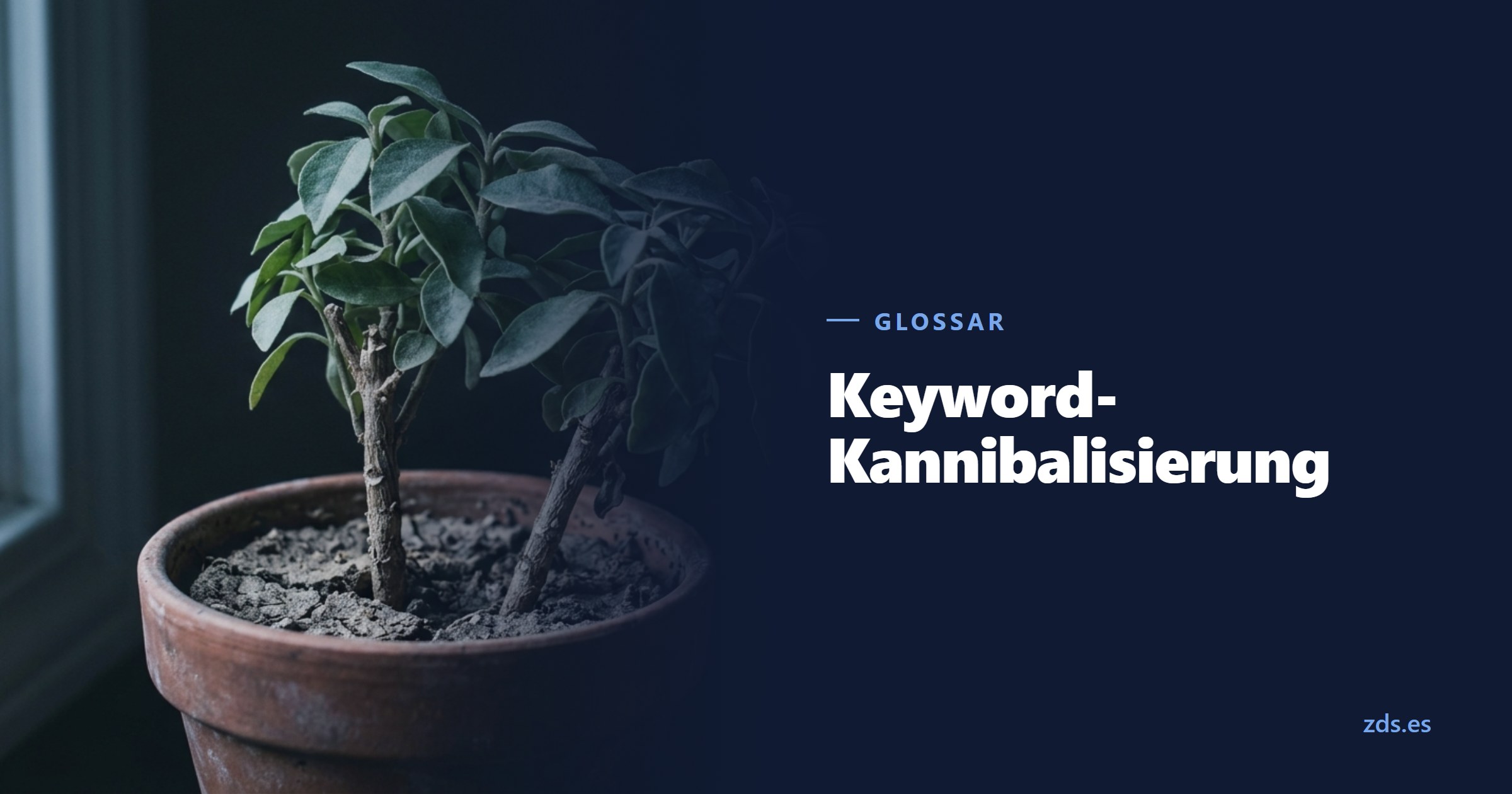 Zwei verschiedene Triebe gedrängt in einem Tontopf, die einander beschatten — daneben der Titel Keyword-Kannibalisierung
