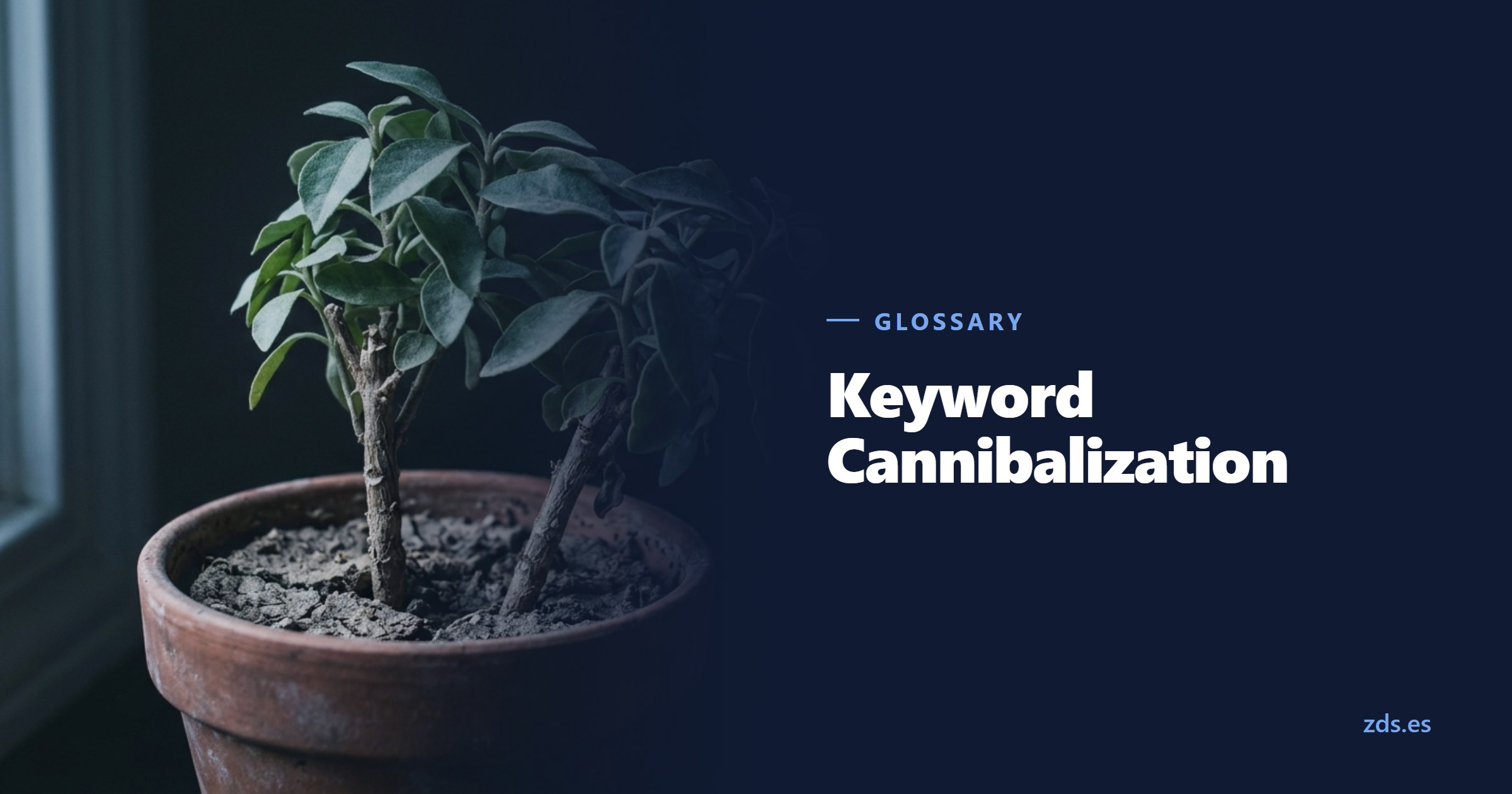 Two separate stems crowded in one clay pot, shading each other — beside the title Keyword Cannibalization