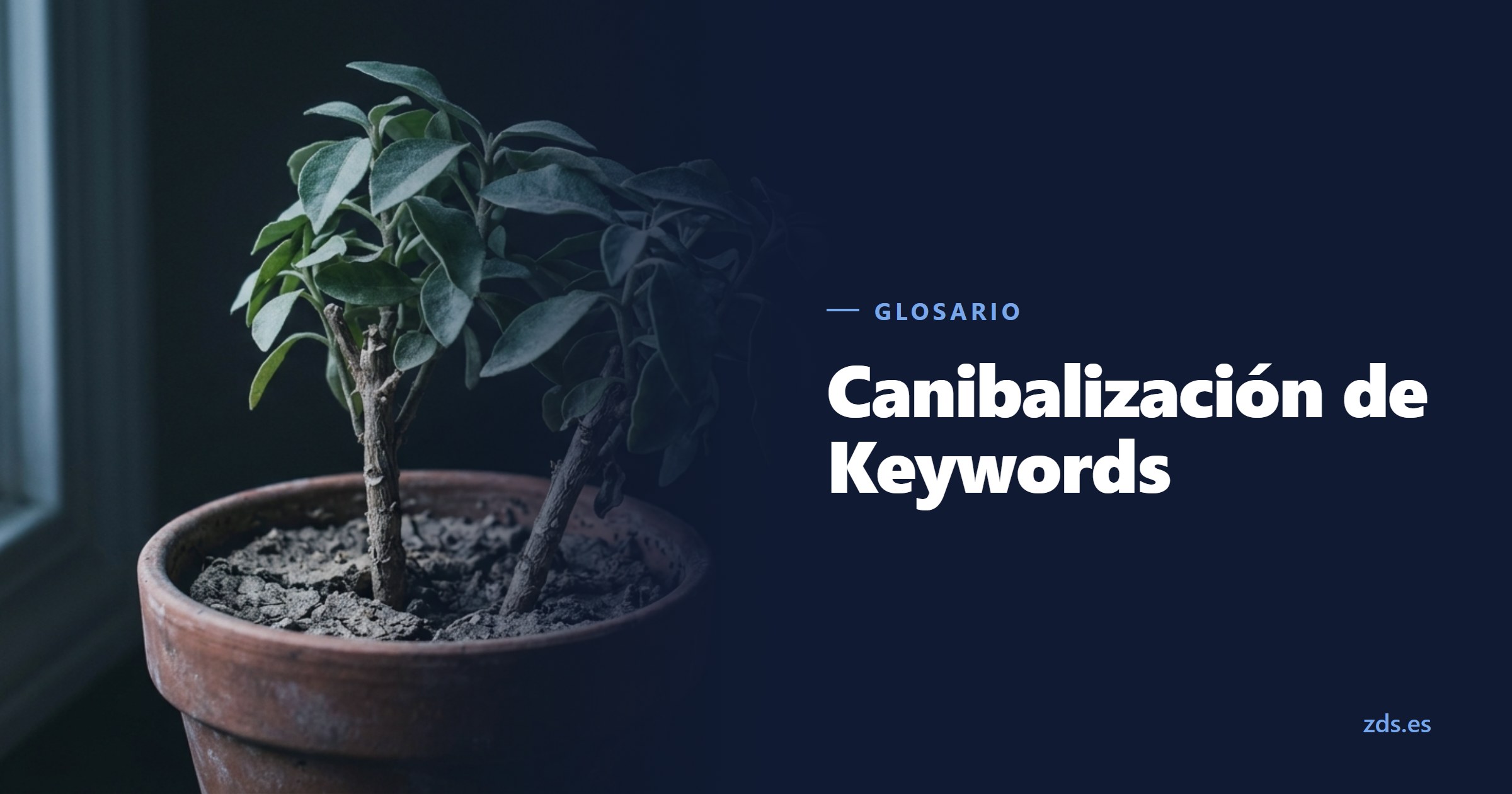 Dos tallos distintos apretados en un mismo tiesto de barro, dándose sombra, junto al título Canibalización de Keywords