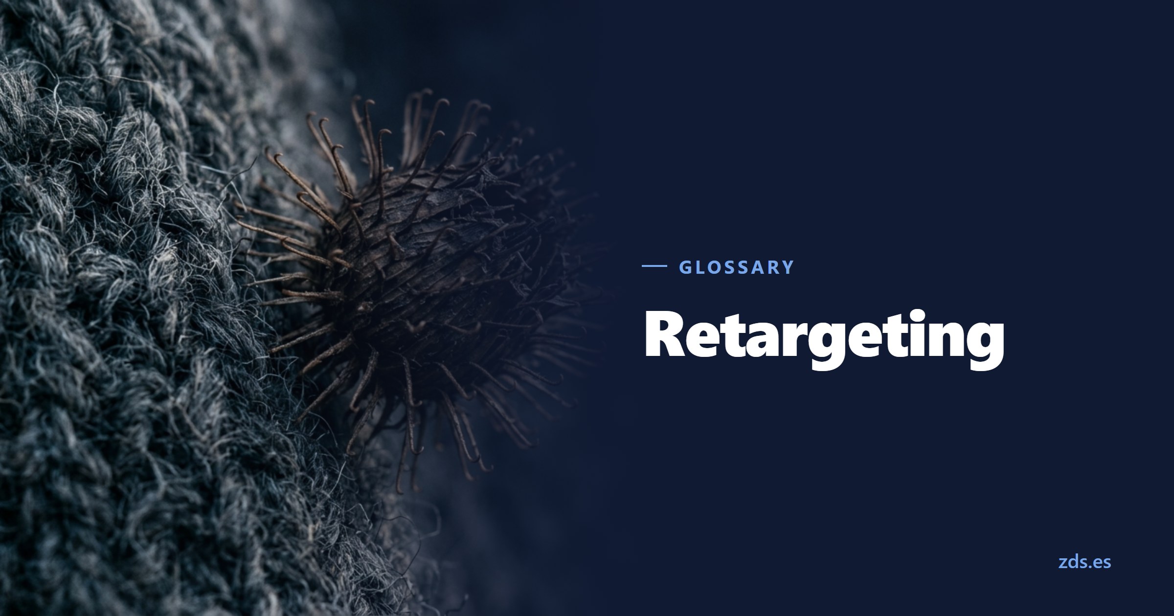 A dry burr hooked into coarse woollen fabric, in macro — beside the title Retargeting